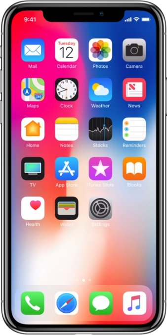 Apple iPhone X A1902 TD-LTE JP 256GB